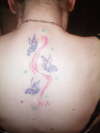butteryflies tattoo