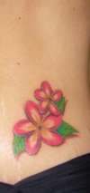 Frangipani tattoo