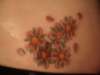 Cherry Blossoms #1 tattoo