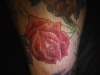 rose tattoo