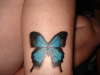 Blue butterfly tattoo