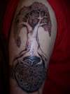 CELTIC TREE AND KNOT tattoo