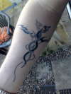 my dragons tattoo