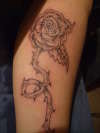 Rose on leg tattoo