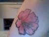 Pink Rhododendron tattoo
