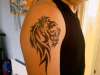 my tribal lion tattoo