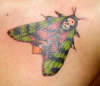 Neon Moth tattoo