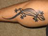 Gecko Tat tattoo