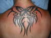 My unfinished first tat tattoo