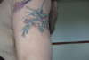 Swallow tattoo