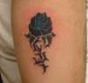 sixth, tribal style rose tattoo