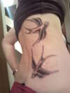 swallows on rib and back tattoo