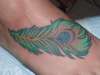 peacock feathetr tattoo