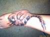 realistic dragofly tattoo