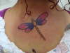 Dragonfly tattoo