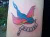 swallow with scroll tattoo