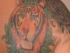 my tiger tattoo