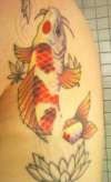 second koi in progress tattoo
