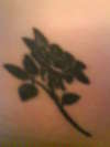 black rose on front of my jeans line tattoo