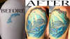 dolphin cover up of dolphin tattoo