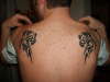 the start of my back tattoo