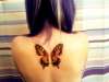 butterfly wings tattoo