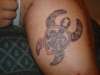 turtle tattoo