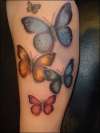Miss Kat's Butterflies [: tattoo