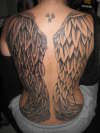 beautiful little wings coverup tattoo