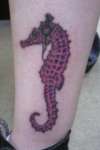 Music lovin' seahorse. tattoo