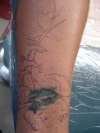 Dolphin Cover up tattoo