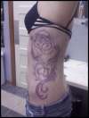 The Rose tattoo
