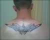 tribal tat tattoo