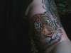 my second tiger tattoo