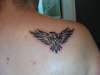 bird-eagle tattoo