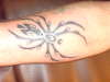 spider tattoo