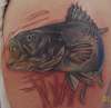 trout fish tattoo