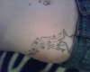 mi tattoo