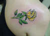 Yellow Rose tattoo
