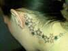 my stars!! tattoo