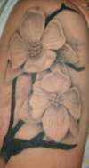 Dogwood Flowers tattoo