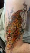 tiger tattoo