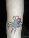 colourful spider tattoo
