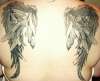 triple wings tattoo