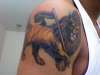 Lion of Judah tattoo