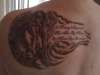 freds angel tattoo
