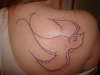 sparrow unfinished tattoo