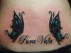 Butterfly wings Pura Vida tattoo