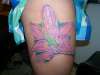 asiatic lily tattoo