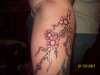 cherry blossoms tattoo